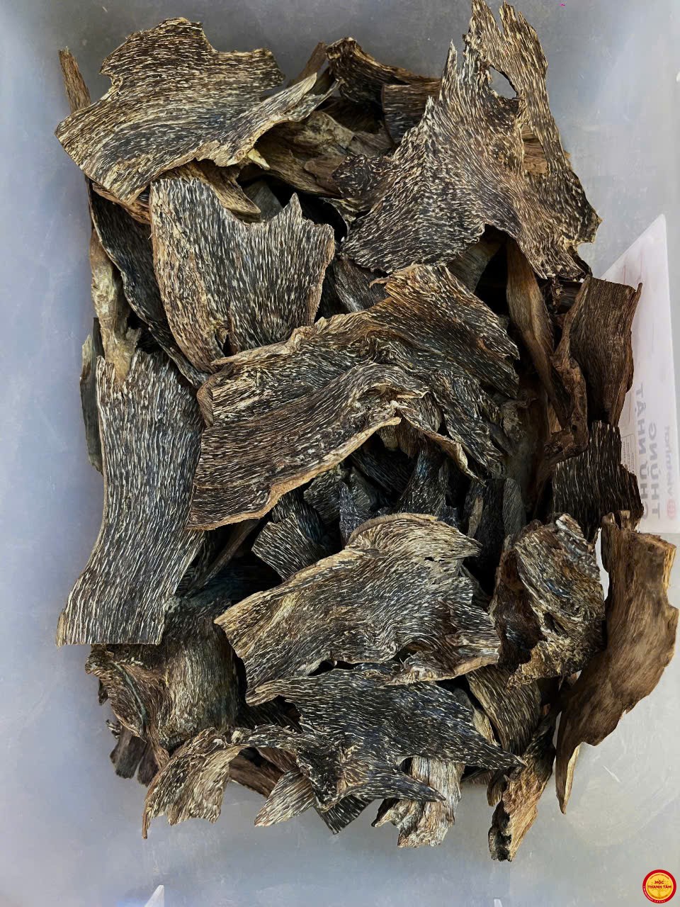 BÌ KẸP RỄ TIÊN PHƯỚC, QUẢNG NAM