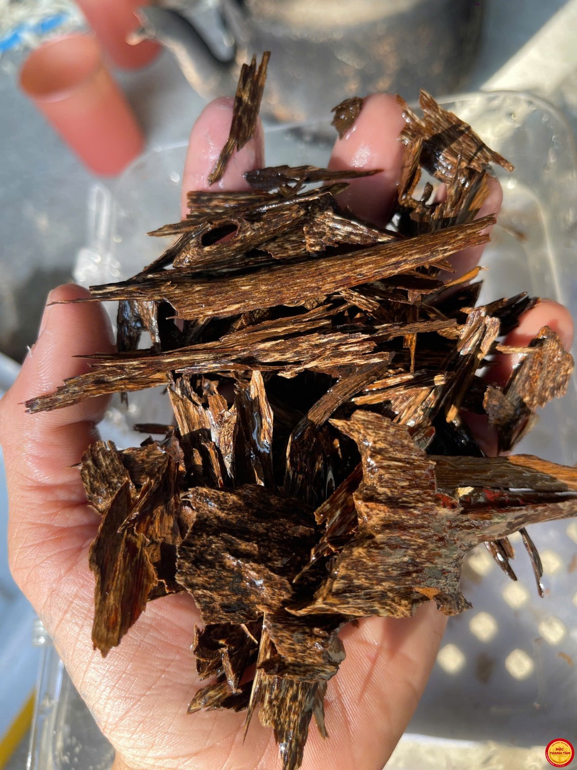 TINH HOA ĐẤT TRỜI