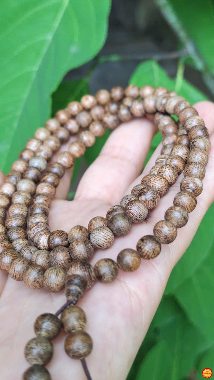 6mm3