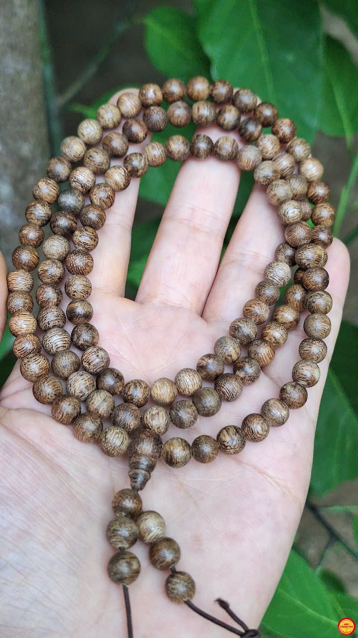 6mm4