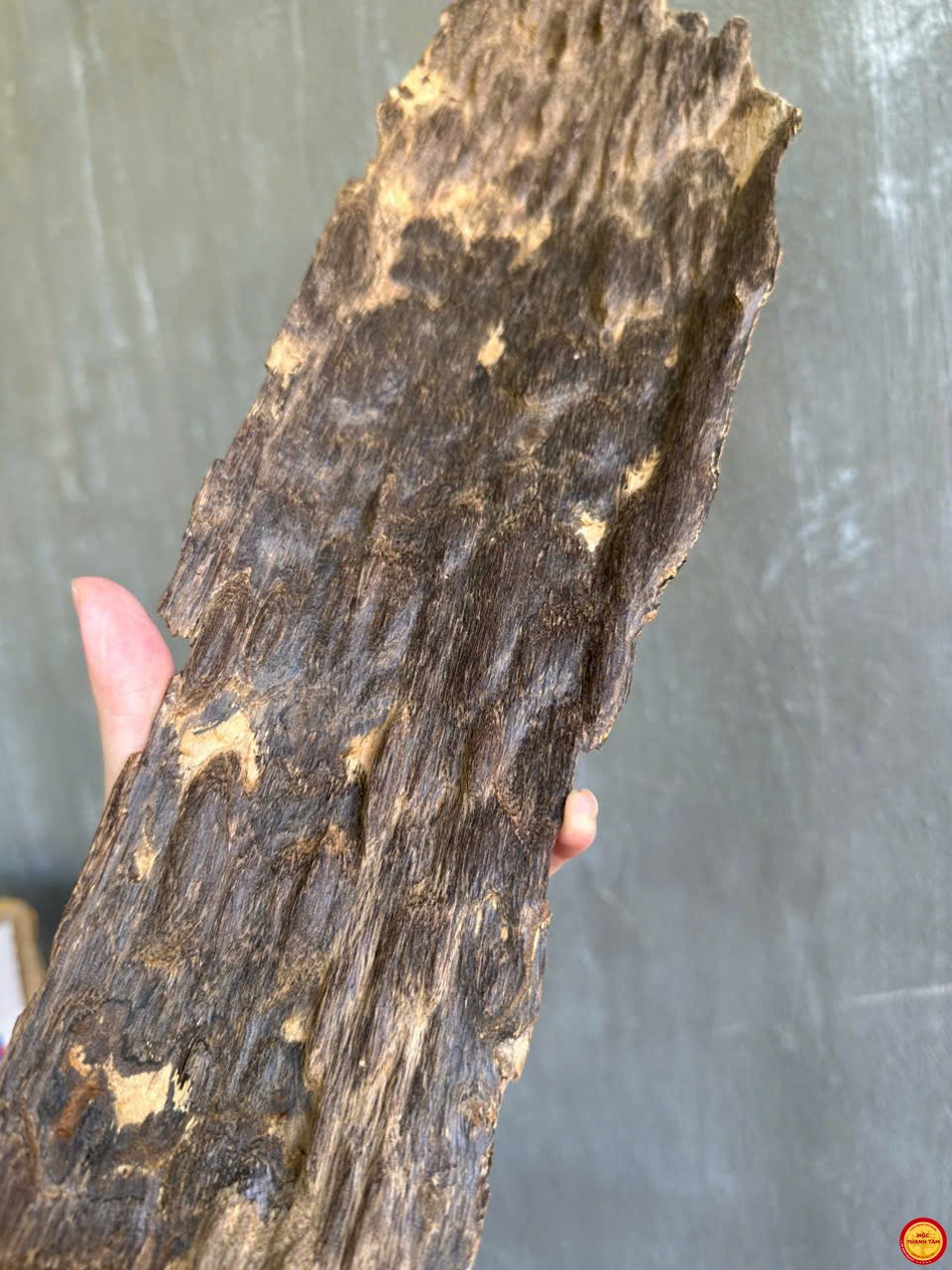 ĐÃ BÁN- Lũa trầm cảnh bì bông (Hết hàng)