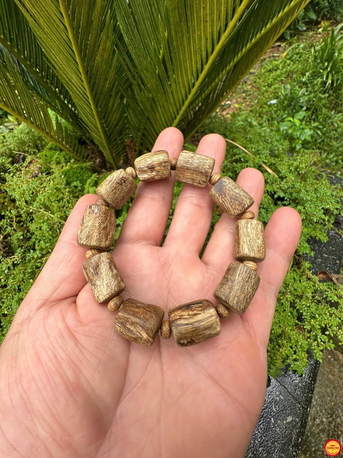 DUY NHẤT 1 VÒNG TỐC RỄ – PHÔI TỐC TRÊN 90 NĂM