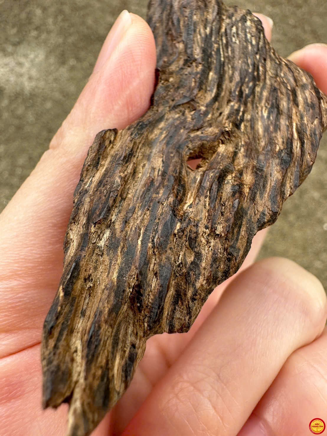 🔥 RỤC KẸP CHÌM TIÊN PHƯỚC – HƯƠNG SỮA NGỌT HẬU SÂU, CỰC HIẾM CHO GIỚI SƯU TẦM 🔥