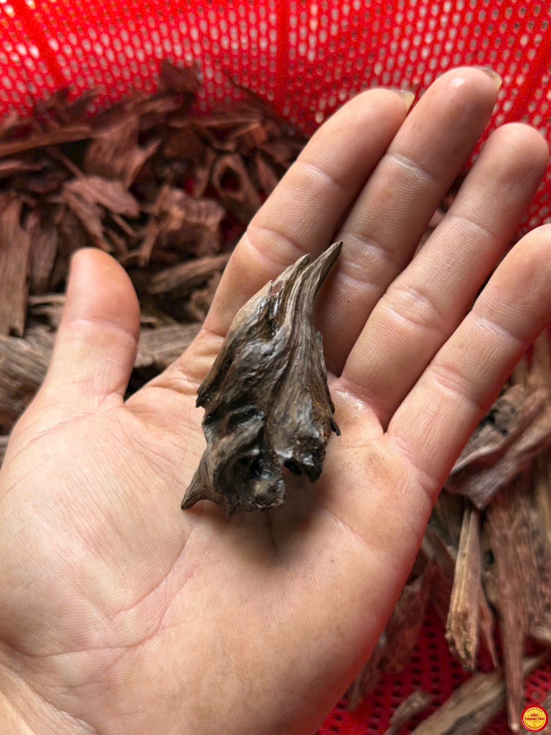 ĐÃ BÁN- Mắt Đảo (Mắt Tử) Chìm – Độc Bản 1.0.2,