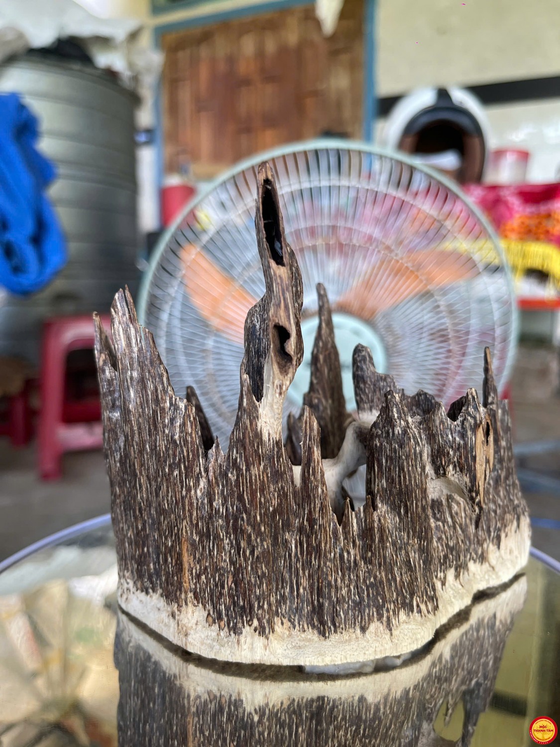 Lũa Trầm cảnh Độc Bản dáng Vương Miện – Tuyệt phẩm VIP từ thiên nhiên